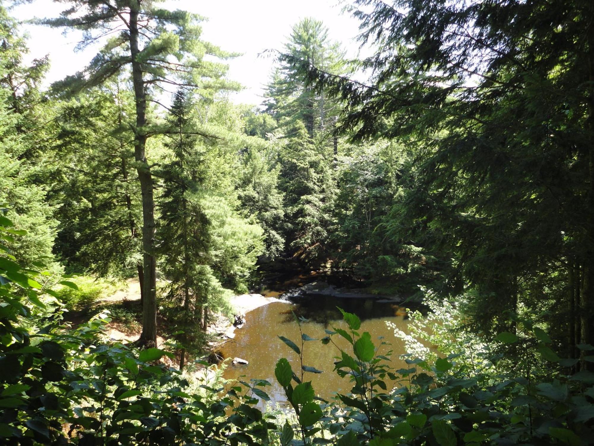 Dwight Riverside Inn Esterno foto